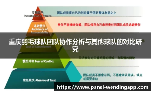 重庆羽毛球队团队协作分析与其他球队的对比研究